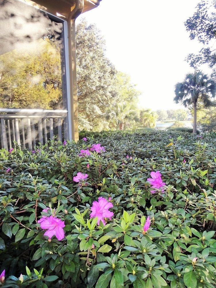 Thurston House Altamonte Springs Extérieur photo